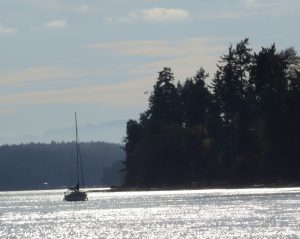 sea tour boat